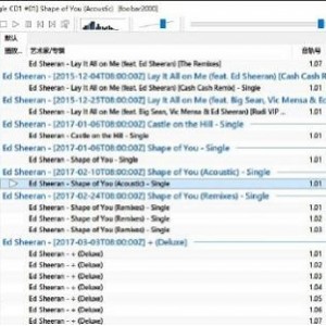 实用软件《 Foobar2000 1.6.4 》顶级无损音乐播放器汉化版推荐