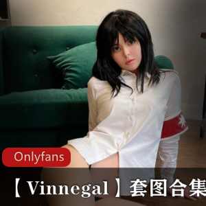 Onlyfans-【Vinnegal】套图合集-[1949p+2G]
